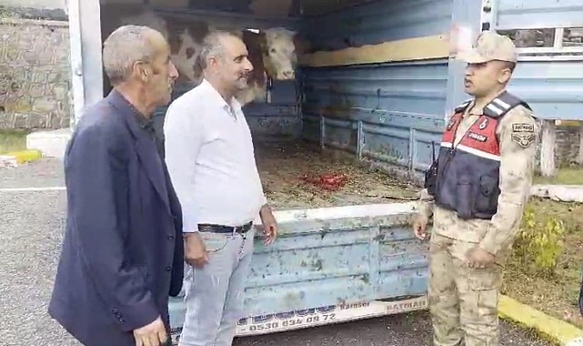 Ardahan'da çalındı Kars'ta bulundu