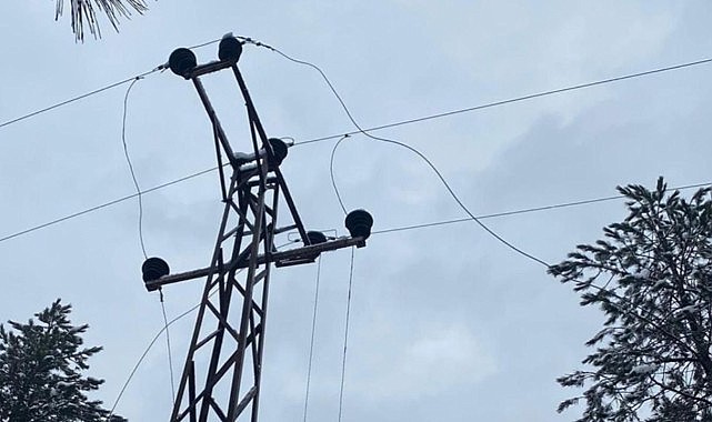 Ardahan'da elektrik akımına kapılan kişi öldü