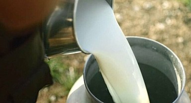 Ardahanlı süt üreticilerine destek ödemeleri başlıyor