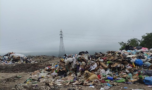 Çöp yığınları tehlike saçıyor