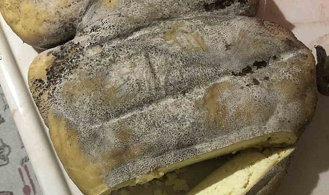 Erzurum Karın Kaymağı Peyniri coğrafi işaret yolunda