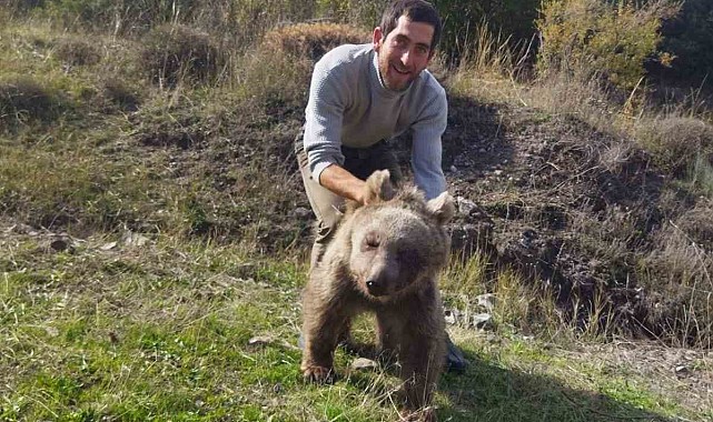 Erzurum Oltu'da yaralı yavru ayı kurtarıldı