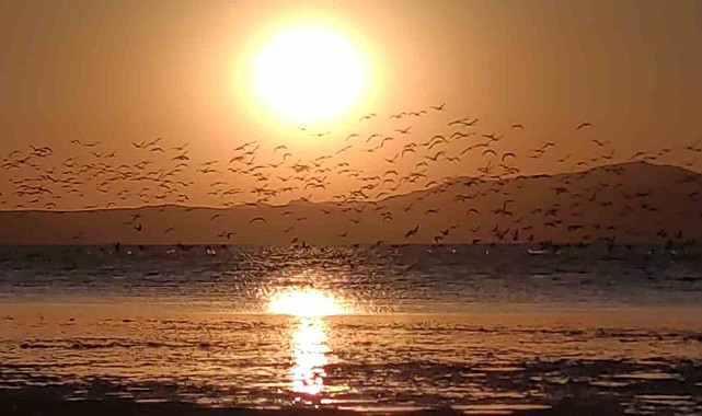 Güneşin kenti Van'da flamingolarla gün batımı