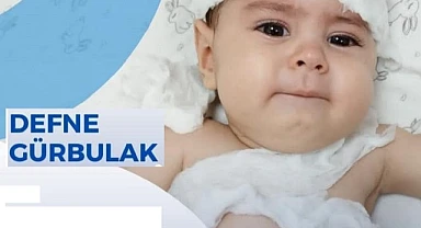 Haydi Ardahan, Defne bebek için son bir gayret daha