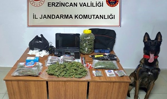 Jandarma ekipleri Erzincan'da uyuşturucuya geçit vermiyor