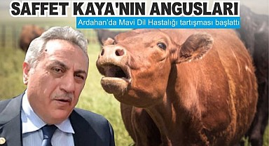 Kaya’nın Angusları besiye alındı!