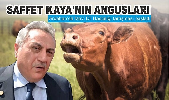 Kaya’nın Angusları besiye alındı!