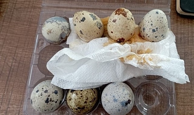 Marketten aldığı yumurta bozuk çıktı