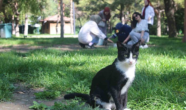 Öğrencilerden Hayvanları Koruma Günü duyarlılığı
