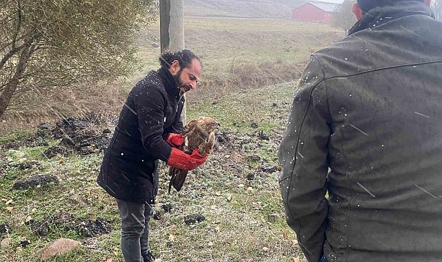 Polisten atmacaya şefkat eli