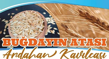 SERKA, Kavılca buğdayını ARÜ’de yapacağı etkinliklerle tanıtacak