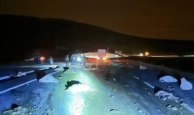 Tırın çarptığı 74 küçükbaş hayvan telef oldu