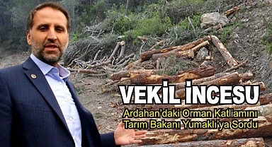 Vekil İncesu Ardahan’daki “orman katliamını” meclis gündemine taşıdı