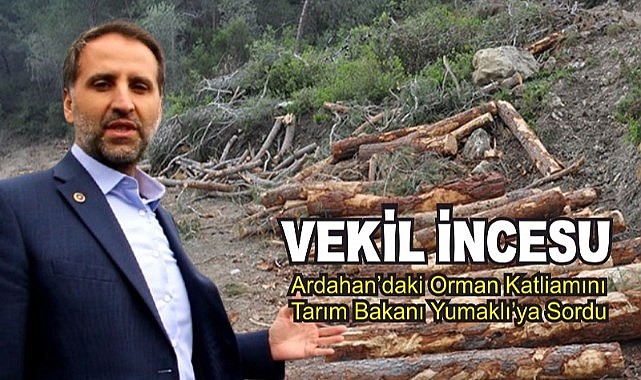Vekil İncesu Ardahan’daki “orman katliamını” meclis gündemine taşıdı