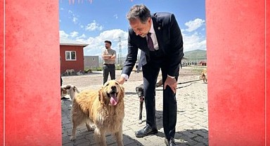 Vekil İncesu: "Can dostlarımız için mücadeleye devam"