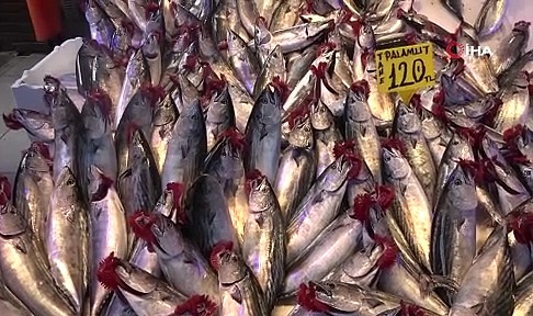 Yaylalara kar yağdı, denizde fırtına çıktı palamudun fiyatı arttı
