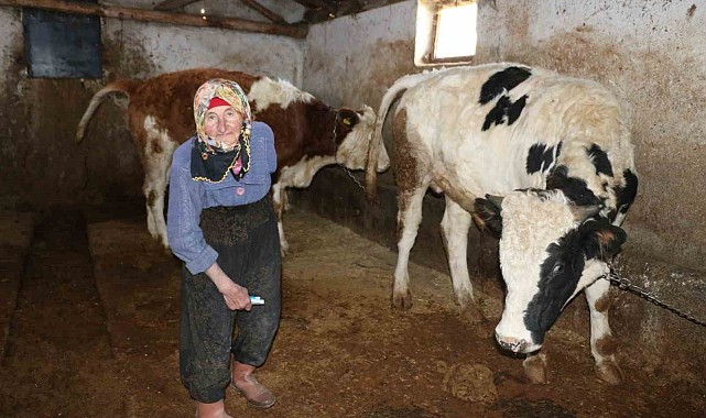 79 yaşındaki Dilber ninenin inanılmaz hayat mücadelesi görenlere maşallah dedirtiyor