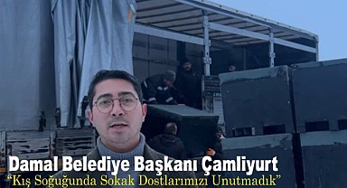 Damal Belediyesi, sokak hayvanlarının kışı rahat geçirmeleri için kampanya başlattı