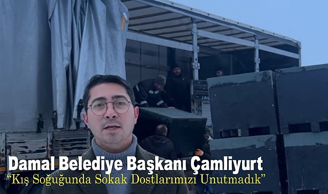 Damal Belediyesi, sokak hayvanlarının kışı rahat geçirmeleri için kampanya başlattı