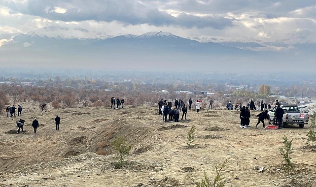 Erzincan'da dağa taşa umut ekiyorlar