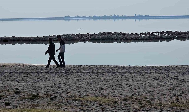 Havalar soğudu Arin Gölü'nün renkli misafirleri yerini ördeklere bıraktı