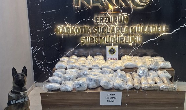 Hera'dan uyuşturucu tacirlerine geçit yok