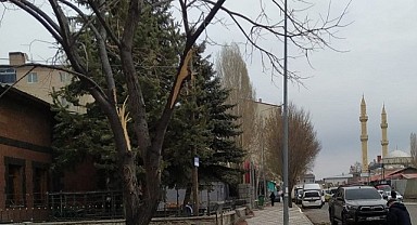 ‘Sanat Sokağı’ halkın onayını aldı