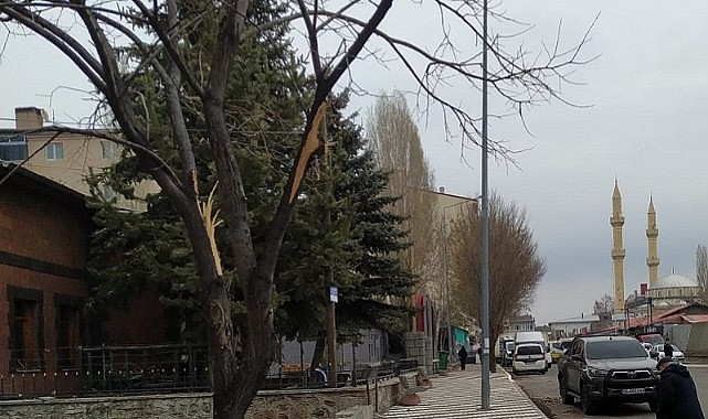 ‘Sanat Sokağı’ halkın onayını aldı
