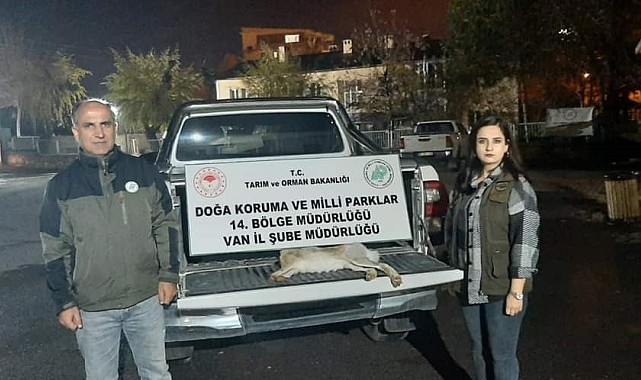 Van'da yasadışı avlanan şahsa 11 bin lira caza