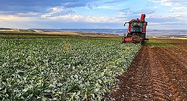 Ardahan Çiftçilerine Son Uyarı: ÇKS Başvurusu İçin Son Gün 31 Aralık!