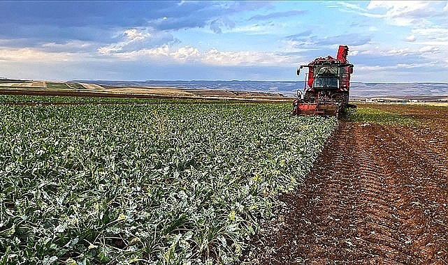 Ardahan Çiftçilerine Son Uyarı: ÇKS Başvurusu İçin Son Gün 31 Aralık!