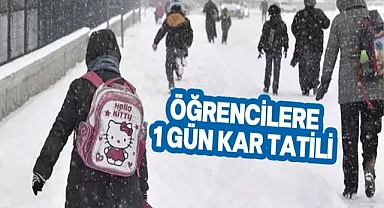 Ardahan'da eğitime kar engeli