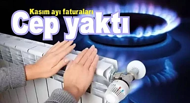 Ardahan’da ısınmak bile lüks oldu