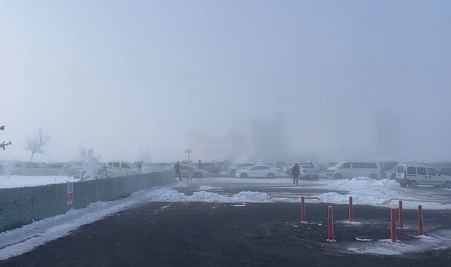Bitlis'te Sibirya soğukları