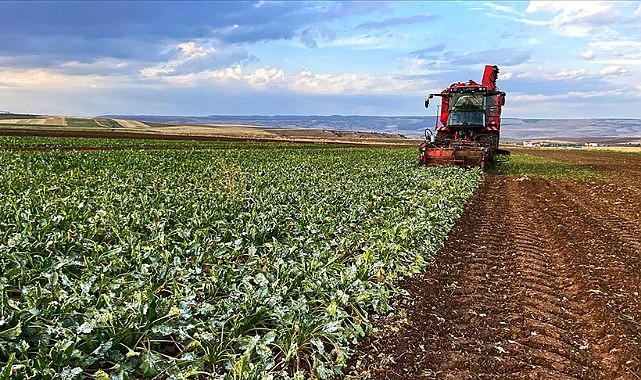 ÇKS kayıtlarında son gün: 31 Aralık