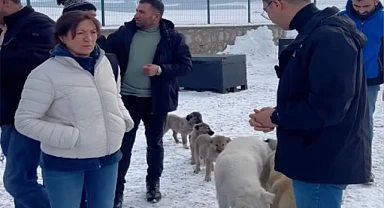 Damal Kent Konseyi, hayvan barınağını gezdi