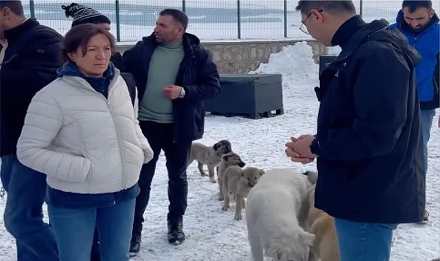 Damal Kent Konseyi, hayvan barınağını gezdi
