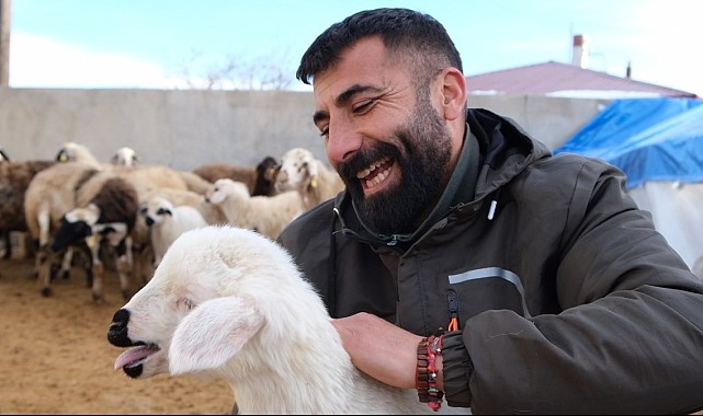 Erzincan'da yılın son kuzuları üreticilerin yüzünü güldürdü