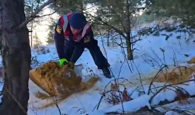 Jandarma yaban hayvanları için doğaya yem bıraktı