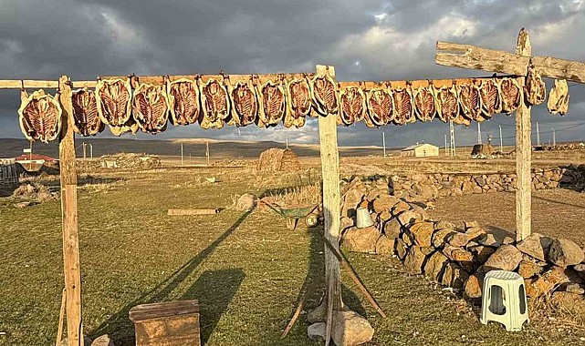 Kars'ta kazlar tellerde kurutuluyor