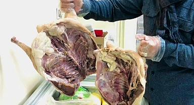 Kaz eti bir haftada yüzde 50 zamlandı