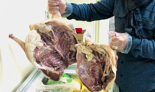 Kaz eti bir haftada yüzde 50 zamlandı