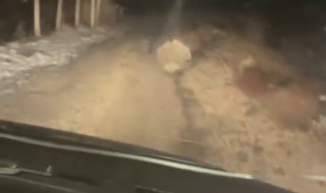 Koruma altındaki oklu kirpi Elazığ'da görüntülendi