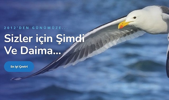 Tercüme bürosu fiyat listesi ve Arapça çeviri