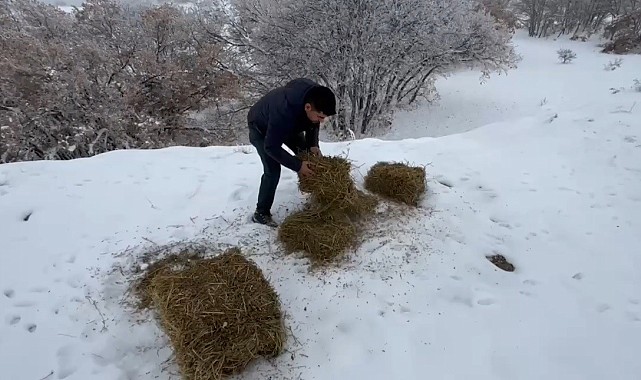 Yaban hayvanları için doğaya yem bırakıldı
