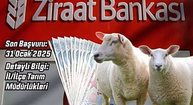 Ziraat Bankası Koyun Kredisi Verecek