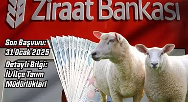 Ziraat Bankası Koyun Kredisi Verecek