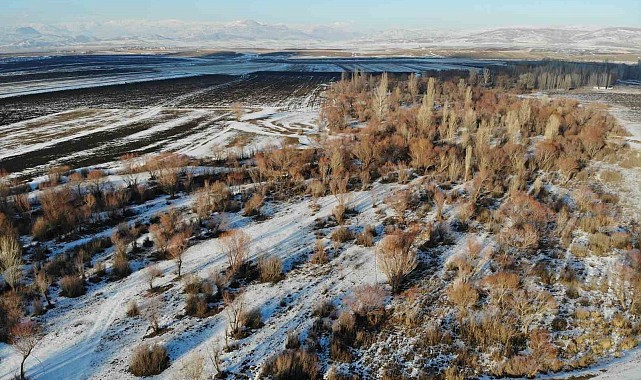 Ağrı'da kış manzarası göz kamaştırdı