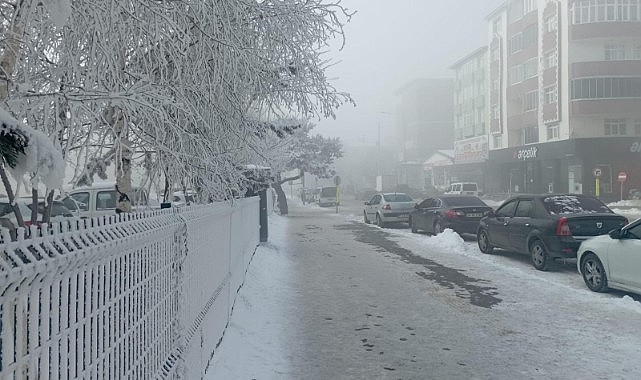 Ardahan'da kar manzaraları