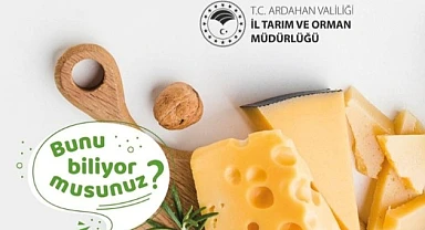 Ardahan'da kaşar peyniri denetimleri artırıldı